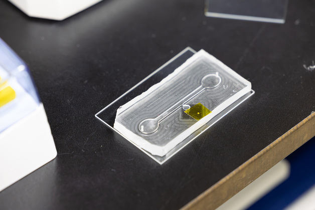 모래 섞인 시료도 전처리 없이 분석…오염물질 검출 미세칩 개발