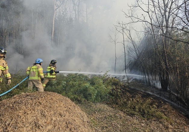 부산 기장군 야산서 불…초진했지만 강한 바람 재확산 우려