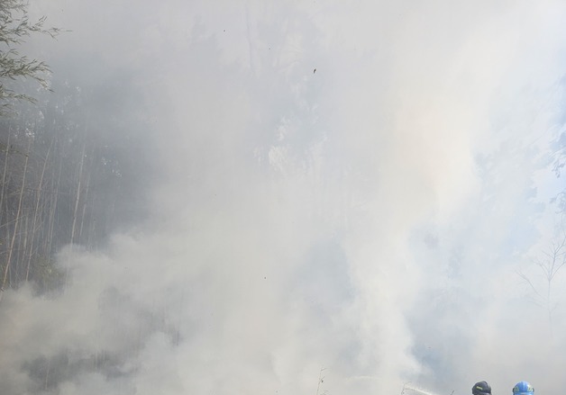 부산 기장군 야산 화재 '완진'…쓰레기 소각 부주의 원인 추정