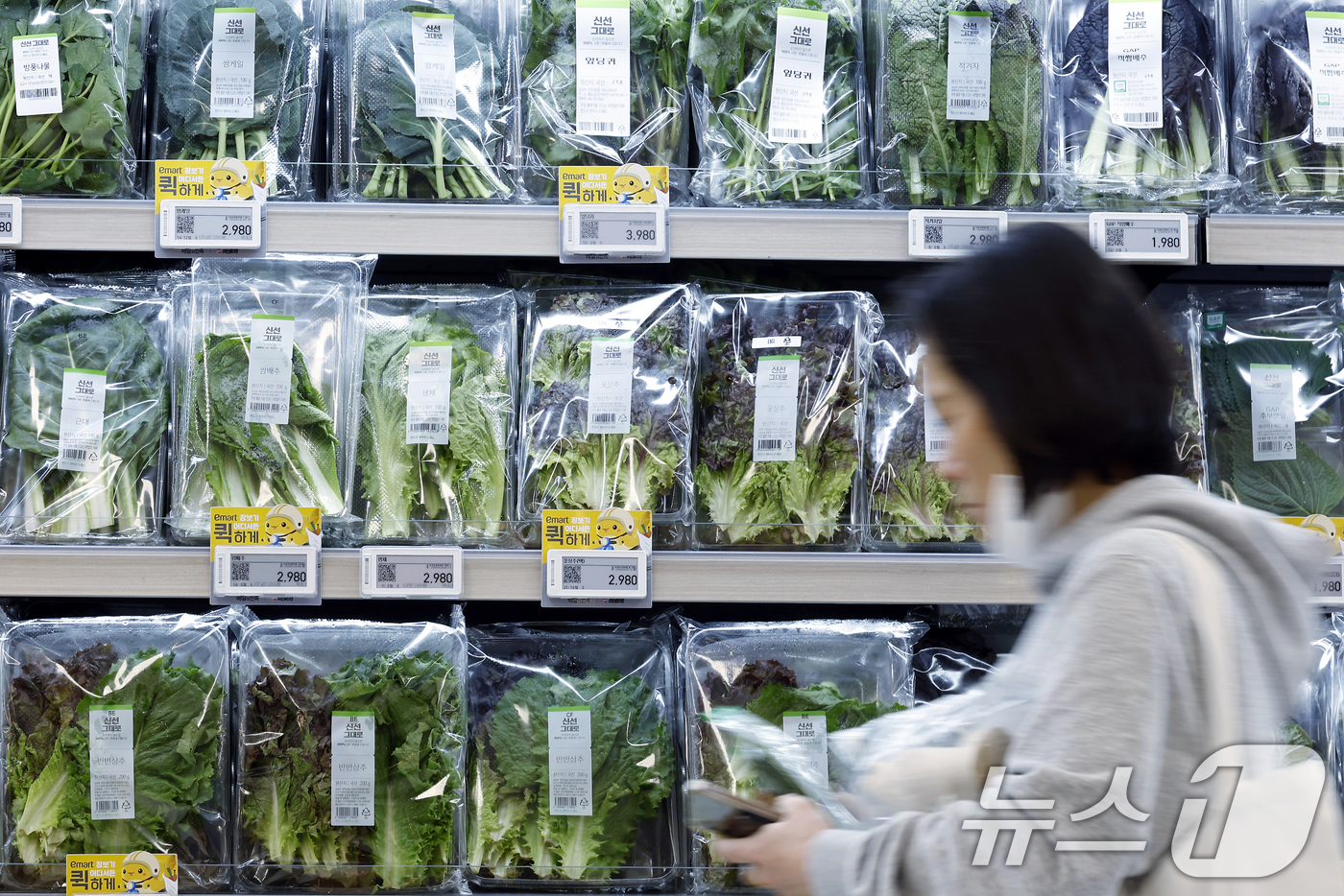(서울=뉴스1) 박정호 기자 = 지난달 소비자물가 상승률이 2.0%로 5개월 만에 가장 낮은 수준을 기록했지만 상추는 27.1% 폭등한 것으로 나타난 6일 서울 시내의 한 대형마트 …
