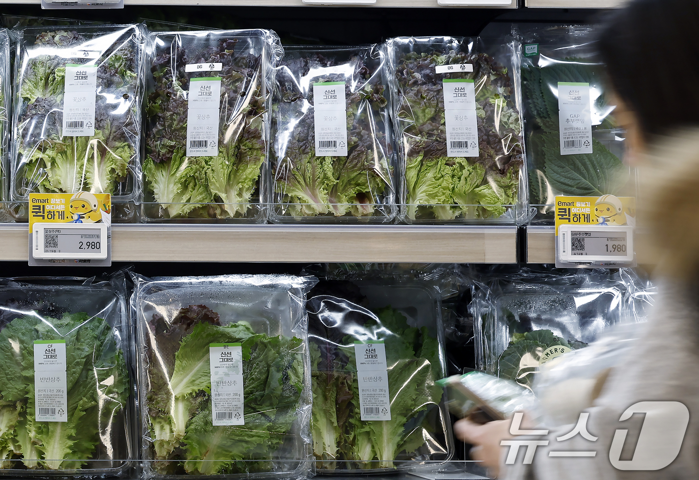 (서울=뉴스1) 박정호 기자 = 지난달 소비자물가 상승률이 2.0%로 5개월 만에 가장 낮은 수준을 기록했지만 상추는 27.1% 폭등한 것으로 나타난 6일 서울 시내의 한 대형마트 …