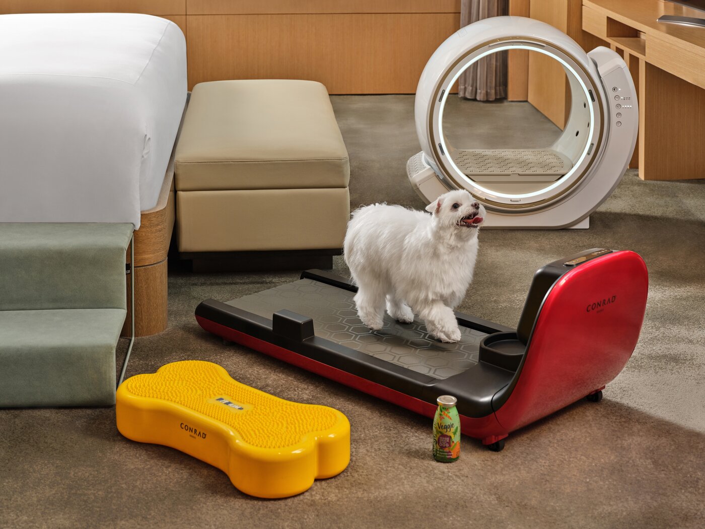 본문 이미지 - 2026 펫 메종(콘래드서울 제공)