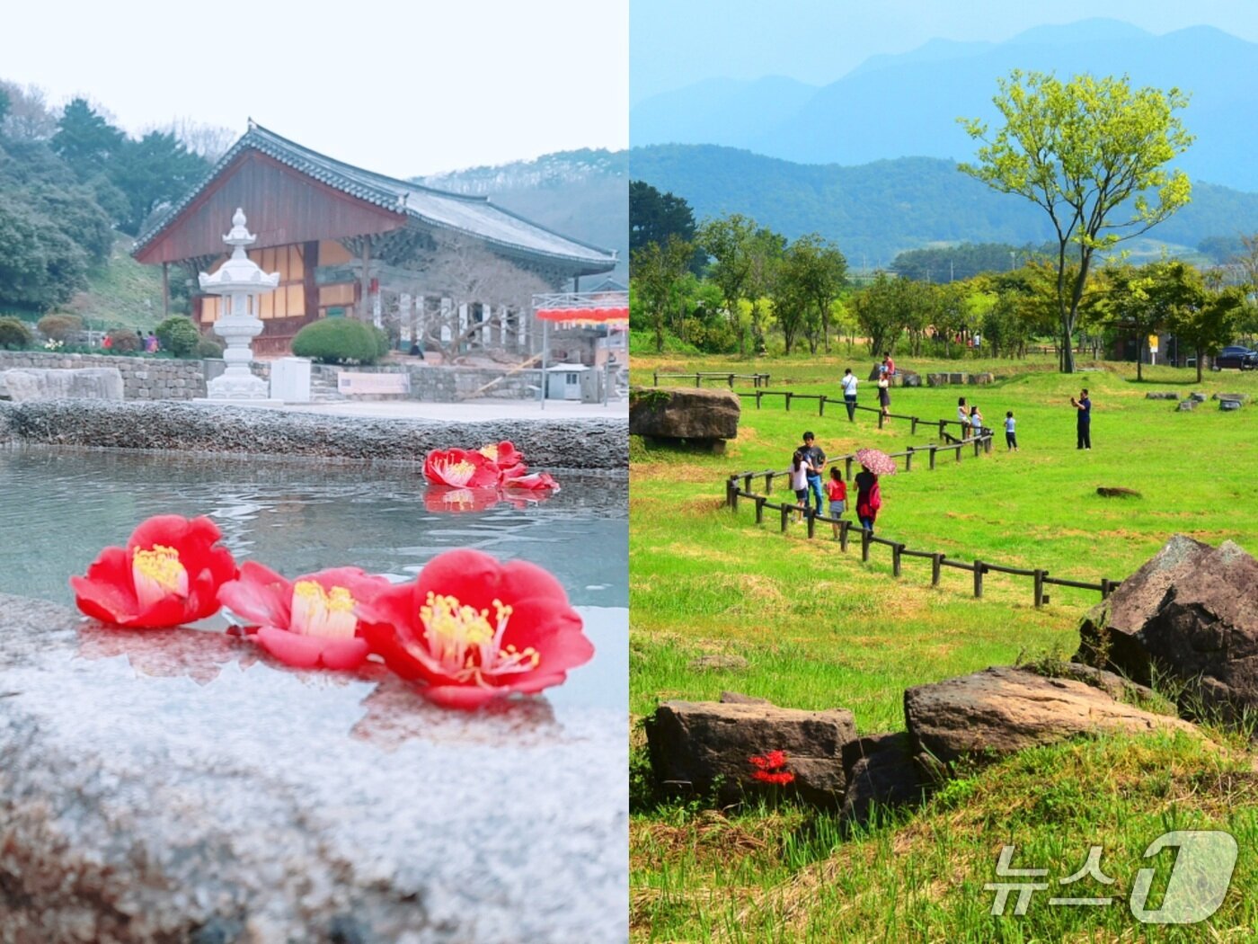 본문 이미지 - 왼쪽부터 선운사와 고인돌 유적지 모습.(고창군 제공. 재판매 및 DB금지)