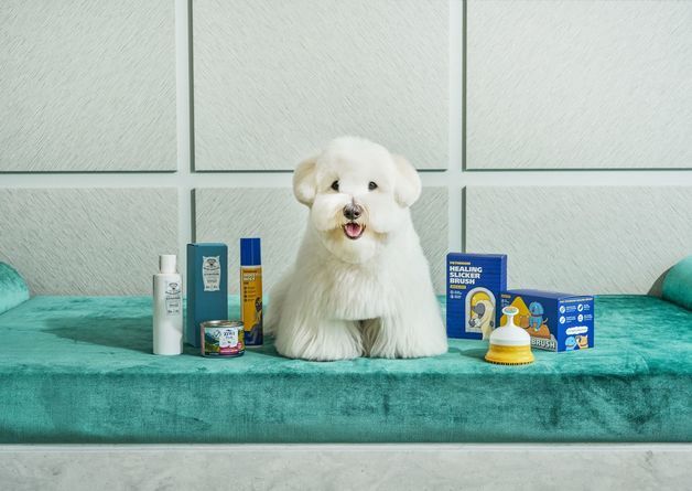 본문 이미지 - 펫 패키지(조선팰리스 제공)