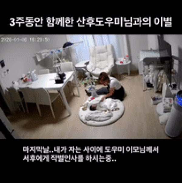 본문 이미지 - (온라인 커뮤니티 갈무리)