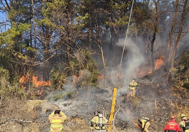 경북 상주 대나무밭에 불…헬기 3대 투입 진화(종합)