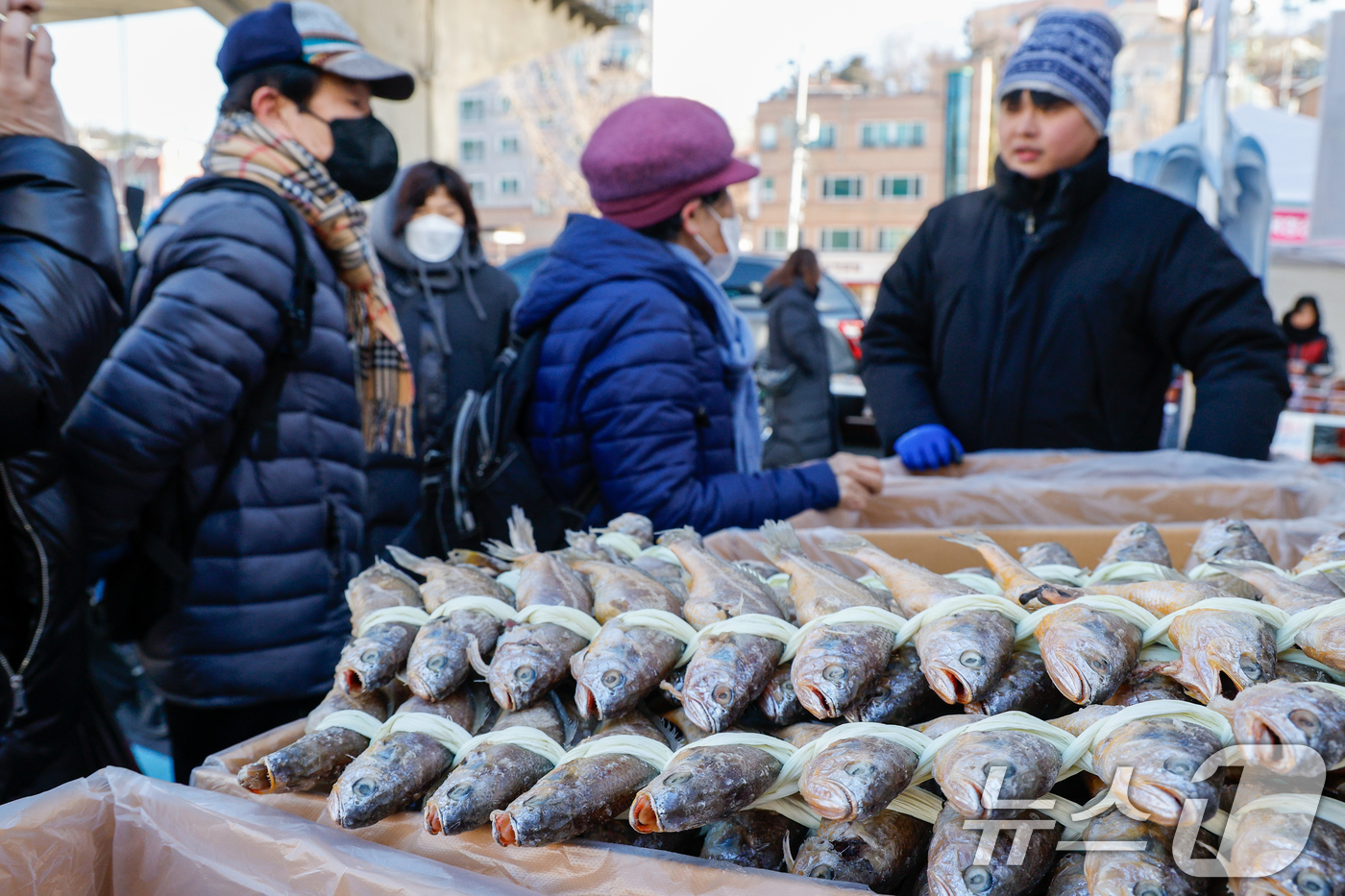 (서울=뉴스1) 안은나 기자 = 설 연휴를 일주일 앞둔 7일 서울 서대문구 홍제폭포광장에서 '2026년 서대문구 설맞이 직거래장터'를 찾은 구민들이 굴비를 고르고 있다.이번 행사에 …