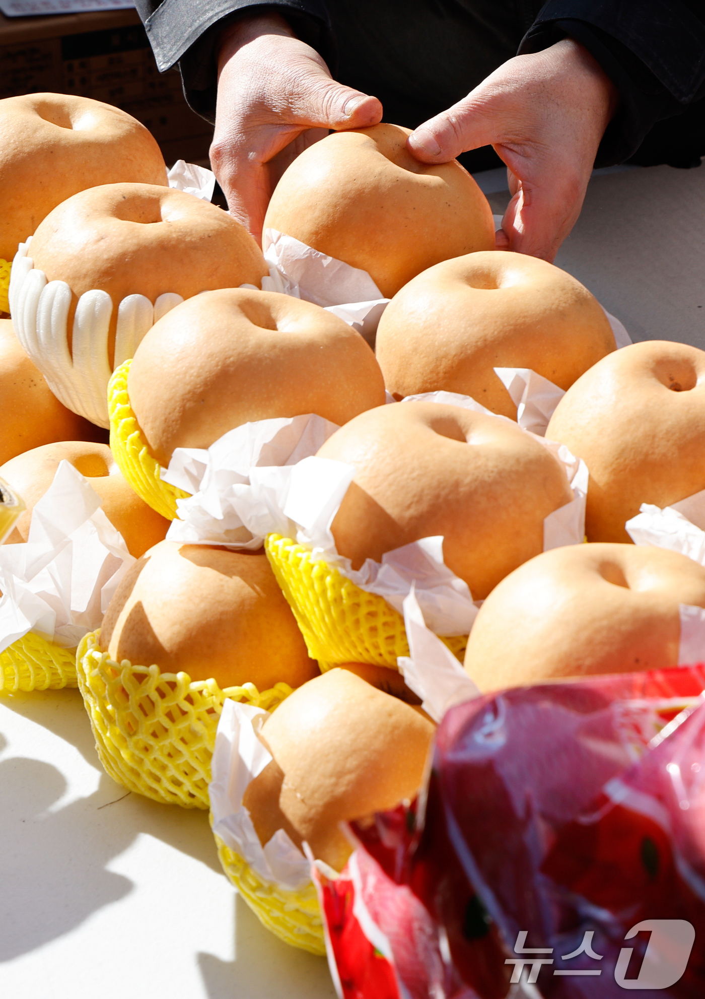 (서울=뉴스1) 안은나 기자 = 설 연휴를 일주일 앞둔 7일 서울 서대문구 홍제폭포광장에서 열린 '2026년 서대문구 설맞이 직거래장터'에 사과, 배 등 과일이 진열돼 있다.이번 …