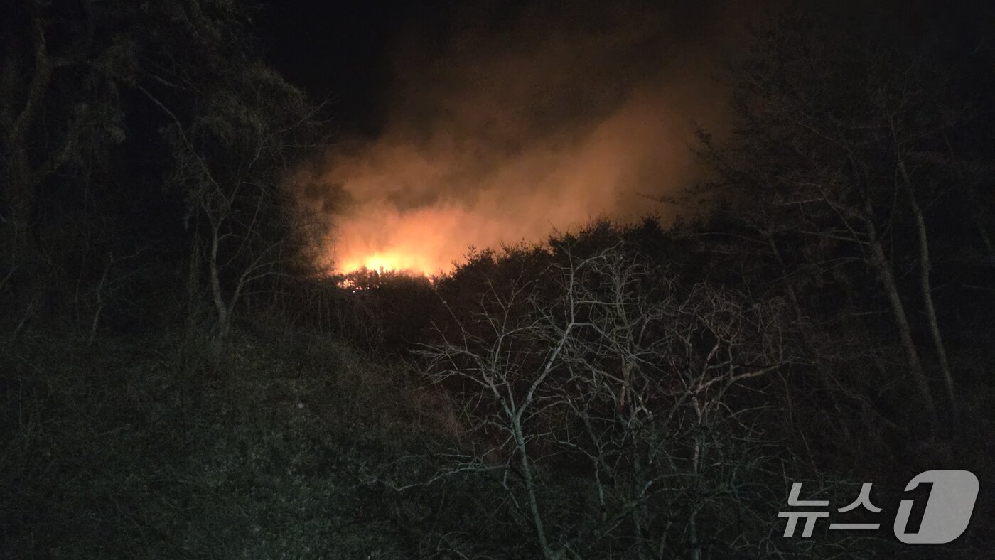 본문 이미지 - 경북 경주시 양남면 신대리 산불.(산림청제공, 재판매 및 DB금지) 2026.2.7/뉴스1 
