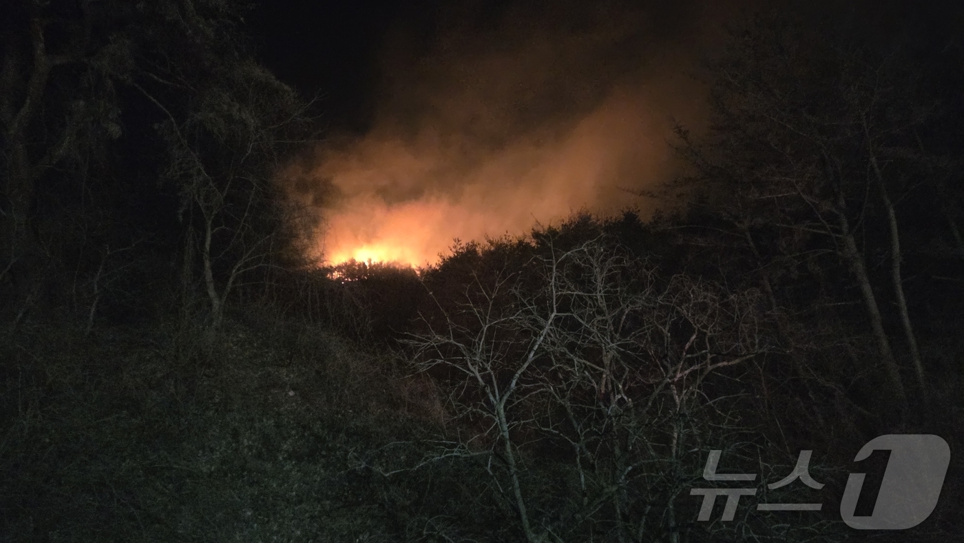 (경주=뉴스1) 이성덕 기자 = 7일 오후 9시31분쯤 경북 경주시 양남면의 한 리조트 인근 야산에서 산불이 발생해 소방 당국이 대응 1단계를 발령하고 진화에 나섰다.(산림청 제공 …