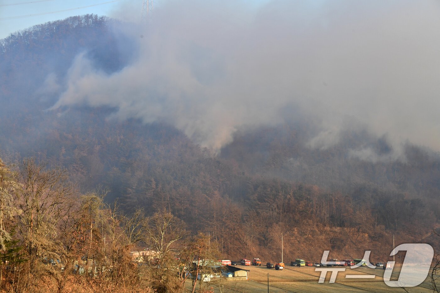본문 이미지 - 8일 오전 경북 경주시 문무대왕면 입천리에서 발생한 산불이 강풍을 타고 확산하고 있다. 2026.2.8 ⓒ 뉴스1 최창호 기자