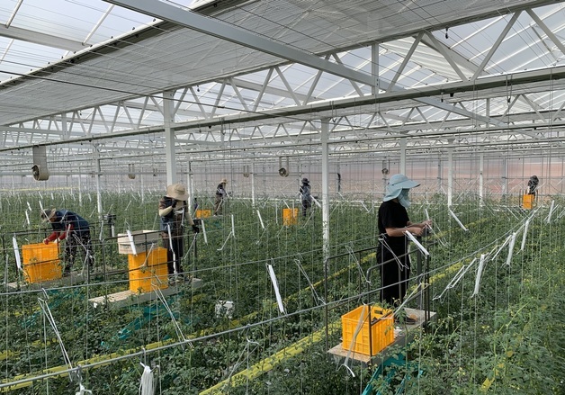 상주농업대학 '양액재배과' 입학식…"스마트농업 인재 육성"