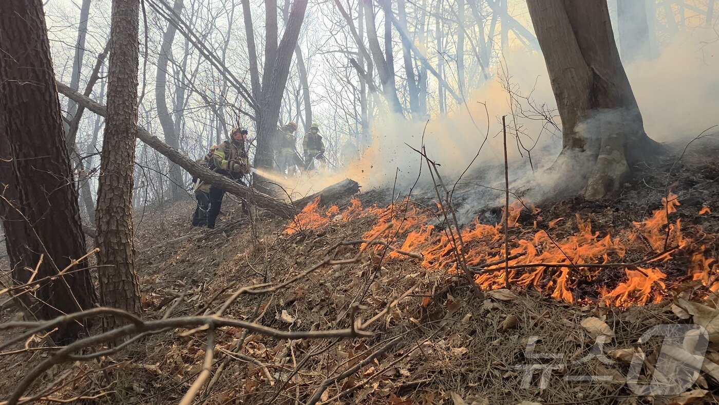 본문 이미지 - 소방 당국이 8일 오전 경북 경주시 문무대왕면 입천리에서 발생한 산불 현장을 찾아 진화에 나서고 있다. (경북소방안전본부 제공. 재판매 및 DB 금지) 2026.2.8 ⓒ 뉴스1 남승렬 기자