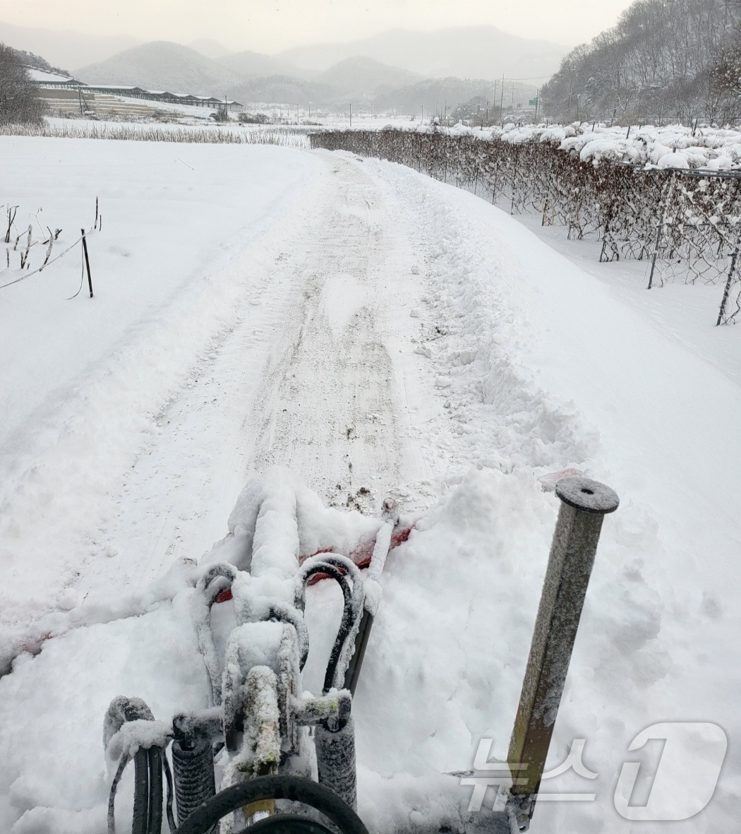 (순창=뉴스1) 유경석 기자 = 전북 지역 곳곳에 많은 눈이 내린 8일 전북 순창 복흥면 일원에 눈이 쌓여 있다. 2026.2.8/뉴스1