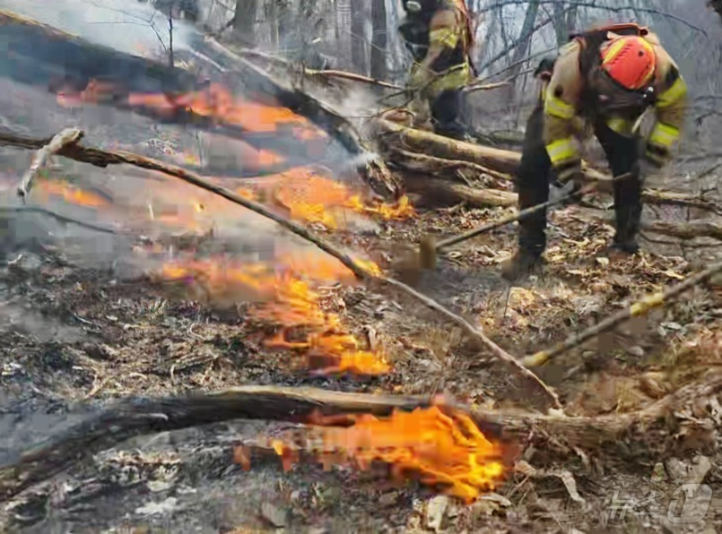 (경주=뉴스1) 남승렬 기자 = 8일 경북 경주시 문무대왕면 입천리에서 발생한 산불 현장에서 소방 당국이 진화에 나서고 있다. (경북소방안전본부 제공. 재판매 및 DB 금지) 20 …