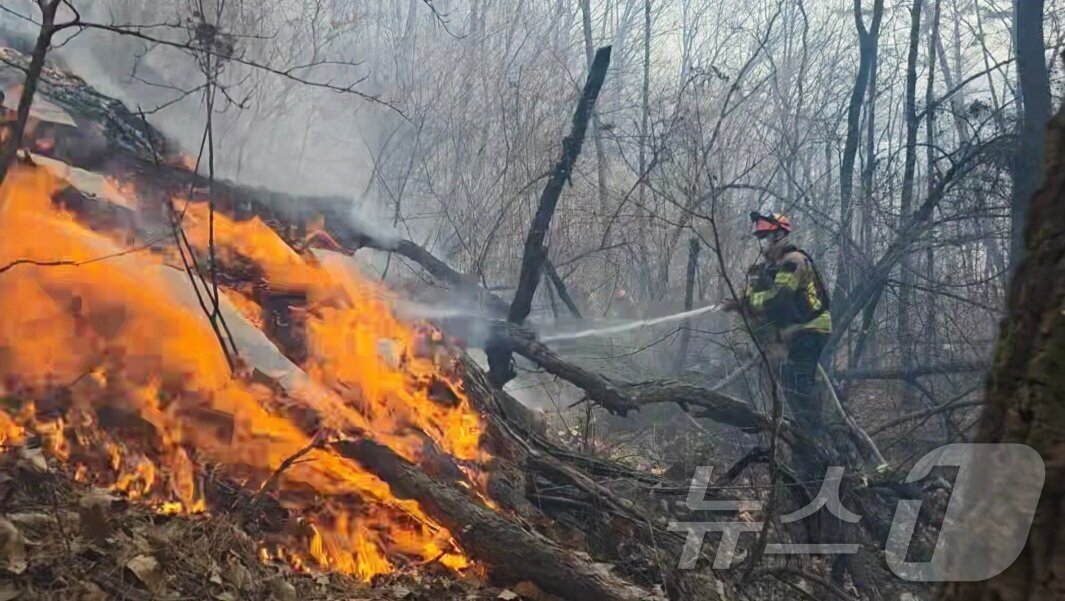 본문 이미지 - 8일 경북 경주시 문무대왕면 입천리에서 발생한 산불 현장에서 소방 당국이 진화에 나서고 있다. (경북소방안전본부 제공. 재판매 및 DB 금지) 2026.2.8 ⓒ 뉴스1 남승렬 기자