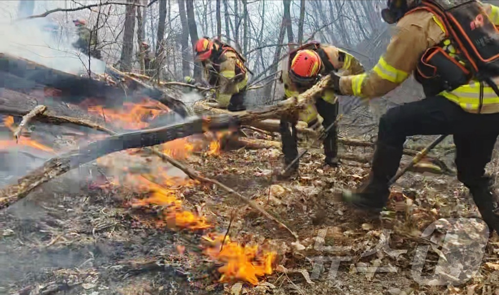 (경주=뉴스1) 남승렬 기자 = 8일 경북 경주시 문무대왕면 입천리에서 발생한 산불 현장에서 소방 당국이 진화에 나서고 있다. (경북소방안전본부 제공. 재판매 및 DB 금지) 20 …