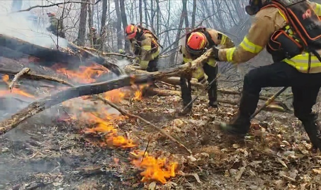 소방당국, 경주 산불 진화 안간힘