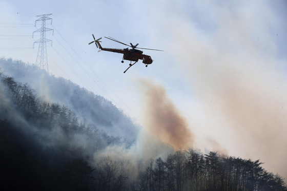 국민참여 기부로 안동 산불피해지 복원…산벚 2000그루 전달