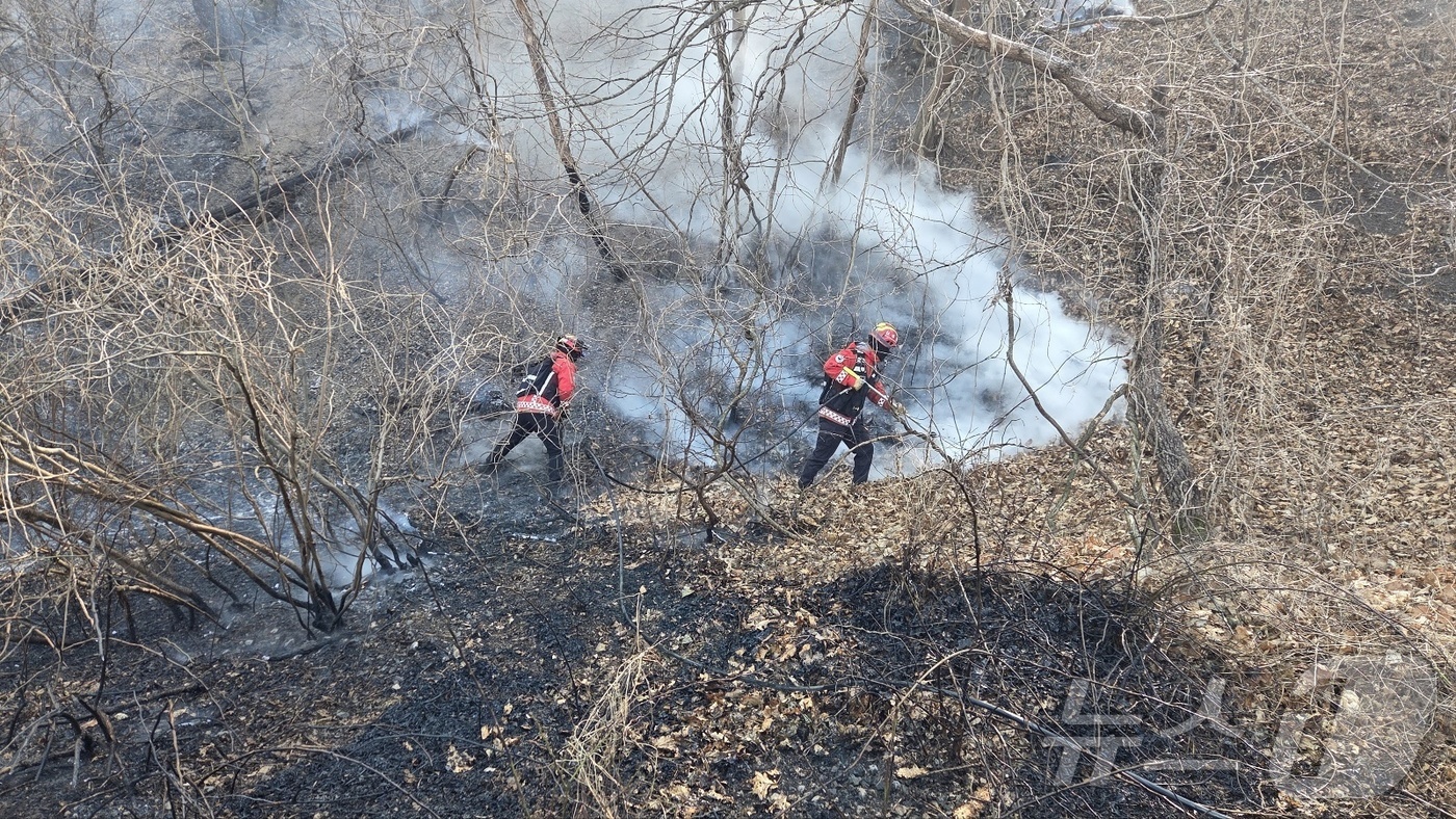 (경주=뉴스1) 이성덕 기자 = 산불 발생 이틀째인 8일 산림청 산불특수진화대원들이 경북 경주시 문무대왕면 입천리 산불 현장에서 지상 진화 작업을 벌이고 있다.(산림청 제공. 재판 …
