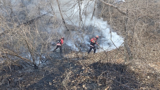 경주 문무대왕면 산불 진화 총력