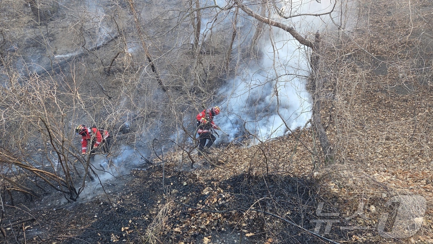 (경주=뉴스1) 이성덕 기자 = 산불 발생 이틀째인 8일 산림청 산불특수진화대원들이 경북 경주시 문무대왕면 입천리 산불 현장에서 지상 진화 작업을 벌이고 있다.(산림청 제공. 재판 …