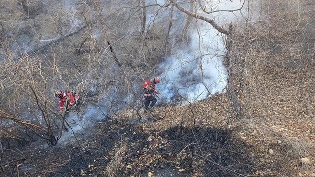 경주 문무대왕면 산불 진화 총력