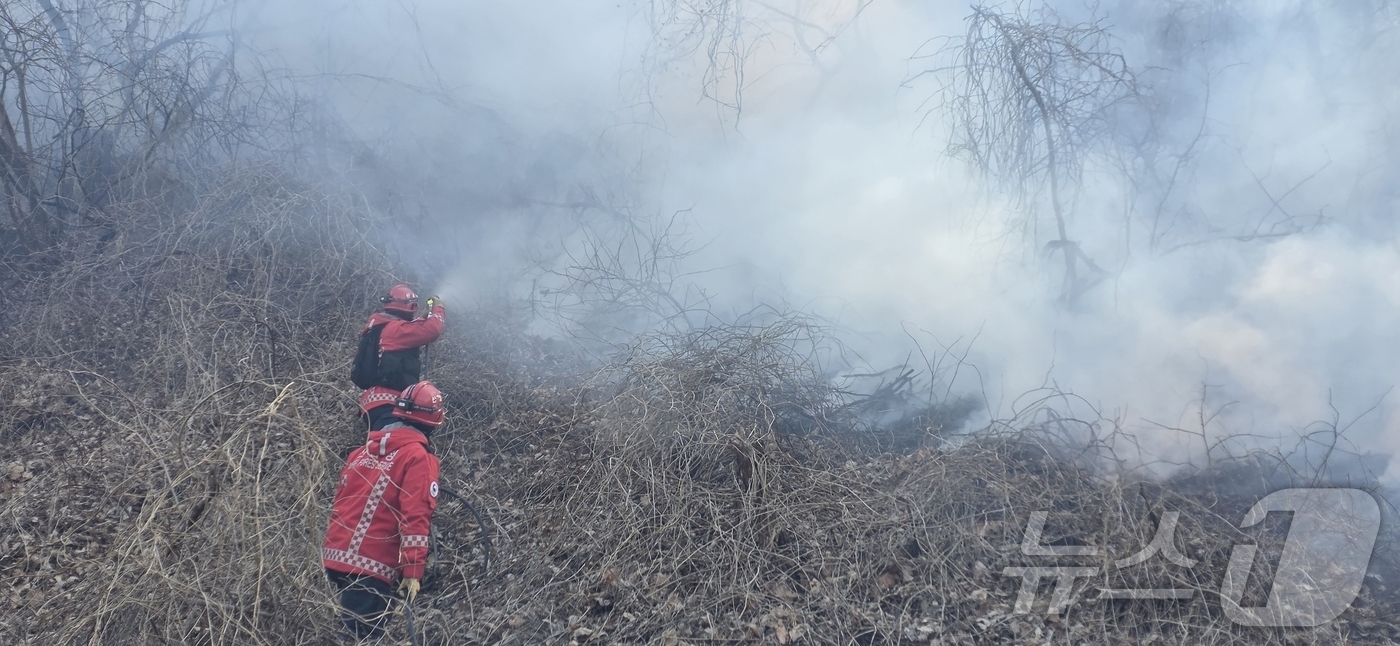 (경주=뉴스1) 이성덕 기자 = 산불 발생 이틀째인 8일 산림청 산불특수진화대원들이 경북 경주시 문무대왕면 입천리 산불 현장에서 지상 진화 작업을 벌이고 있다.(산림청 제공. 재판 …