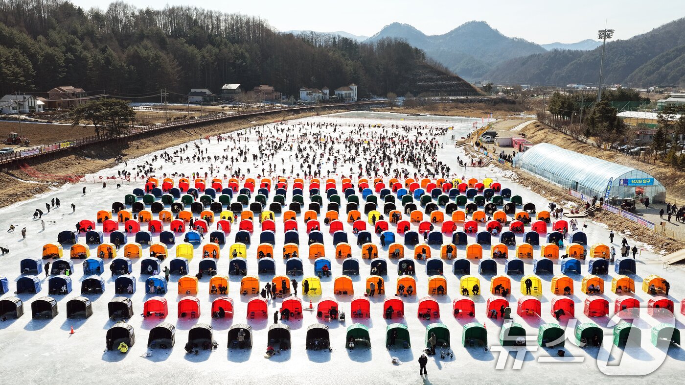 본문 이미지 - 제17회 평창송어축제 자료 사진. (재판매 및 DB 금지) 2026.2.8 ⓒ 뉴스1