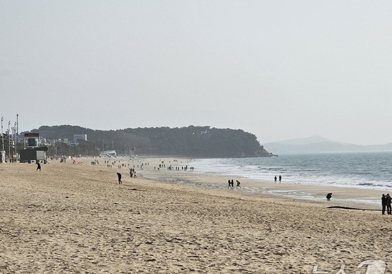 다시 찾아온 한파에 '움찔'…대전·충남 주말 야외 관광지 한산