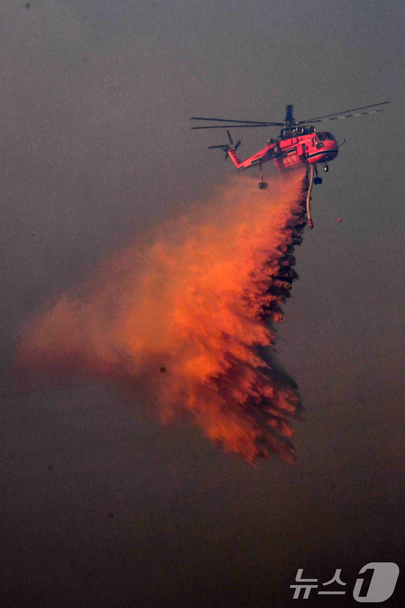 (경주=뉴스1) 최창호 기자 = 8일 경북 경주시 문무대왕면 입천리에서 발생한 산불이 강풍을 타고 확산되고 있는 가운데 산림청 초대형헬기(S-64) 헬기가 송전선로를 피해 진화 작 …
