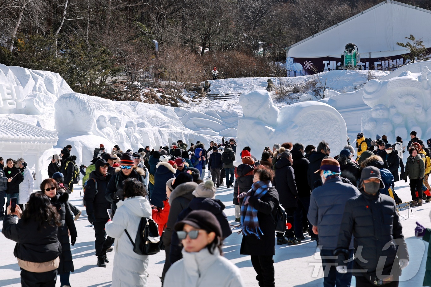 (태백=뉴스1) 신관호 기자 = 제33회 태백산 눈축제가 강원 태백산국립공원 일원에서 열린 가운데, 8일 대형 눈조각 전시를 비롯한 다양한 축제의 프로그램이 운영되고 있다. (태백 …