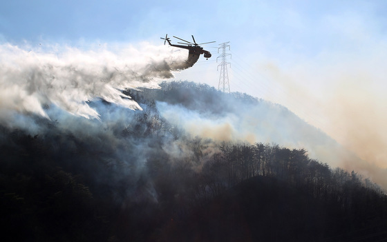 정부 "설 연휴 전날 교통사고 1.2배↑…성묘객 산불 예방 당부"