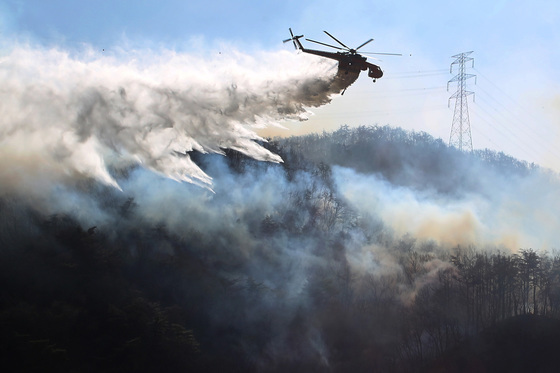 문무대왕면 산불 20시간만에 주불 잡혀…산불영향구역 54㏊(상보)