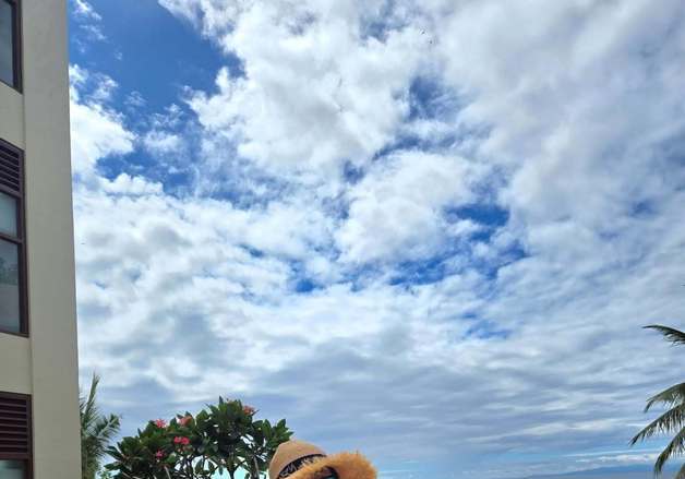 '48세' 김경화, 나이 믿기지 않는 수영복 자태…탄탄 몸매 [N샷]