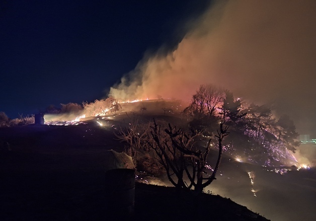 여수 야산 화재 2시간 20분만에 완진…12명 대피·0.5ha 소실(종합)