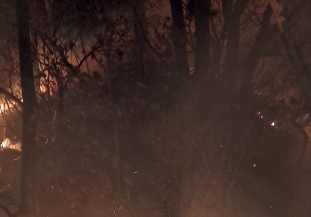 서산 지곡면 야산서 산불…48분 만에 진화