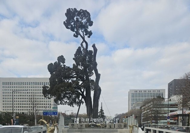 서초구, '서초역 향나무' 제1호 서초구 향토유산 지정