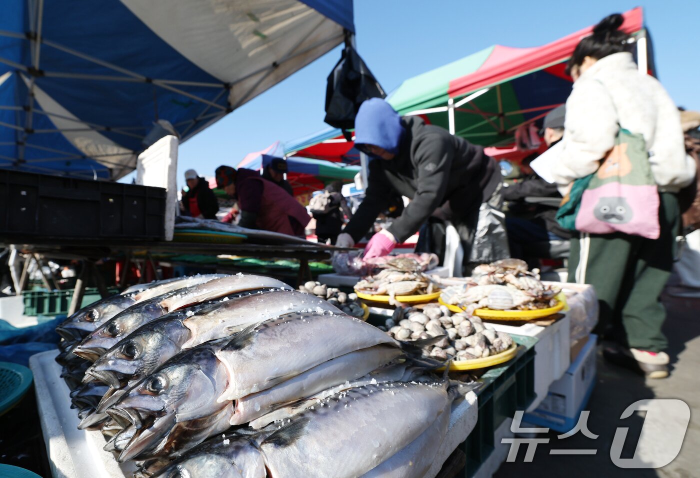 본문 이미지 - 민족 대명절 설을 일주일여 앞둔 9일 경기 성남시 중원구 모란민속5일장에서 시민들이 제수용품을 구매하고 있다. 2026.2.9 ⓒ 뉴스1 김영운 기자