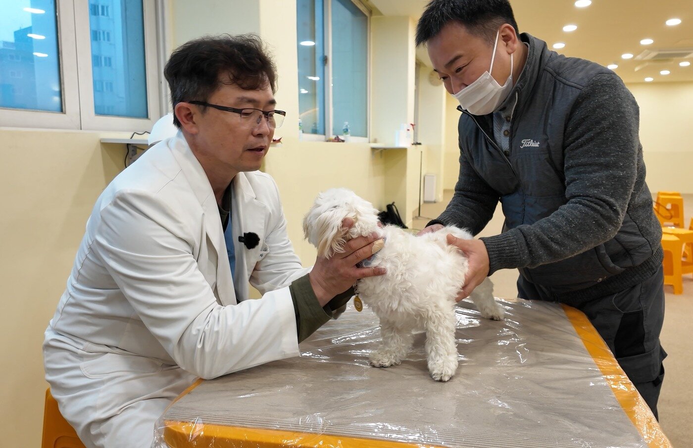 본문 이미지 - 차진원 원장이 특강 후 보호자 반려견 신체 검사를 하고 있다(월드펫동물메디컬센터 제공). ⓒ 뉴스1
