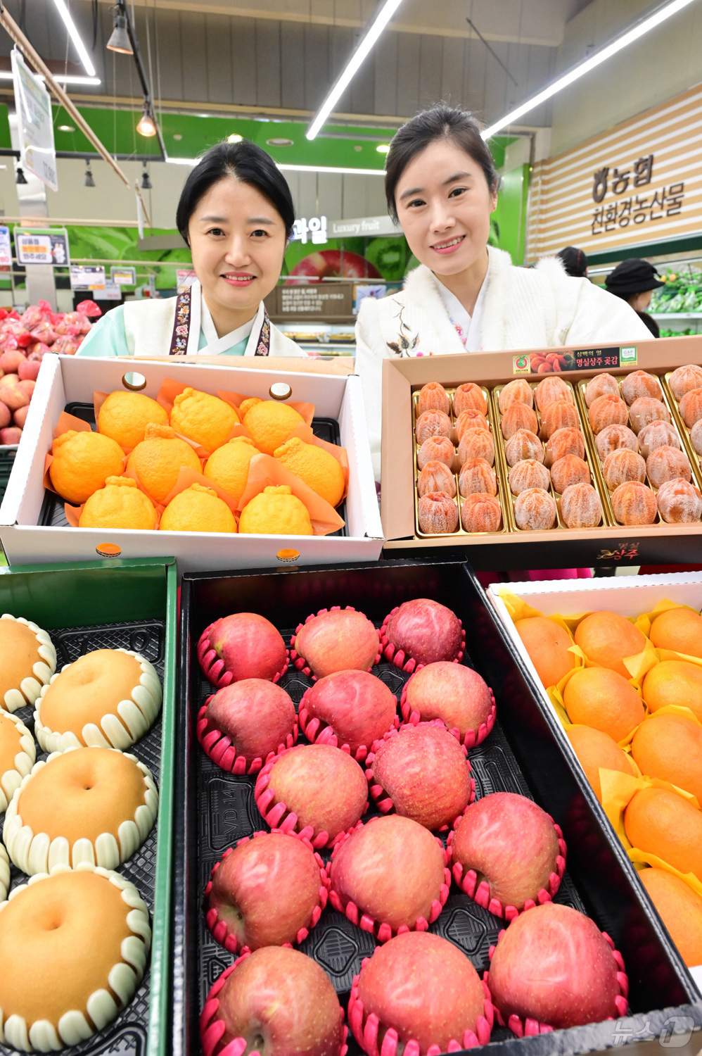 (서울=뉴스1) = 농협유통은 9일 병오년 설을 맞아 하나로마트에서 판매하는 세트의 당도 등 품질 관리를 통해 고객들이 믿고 구매할 수 있도록 엄선한 과일 선물을 추천했다. 사진은 …