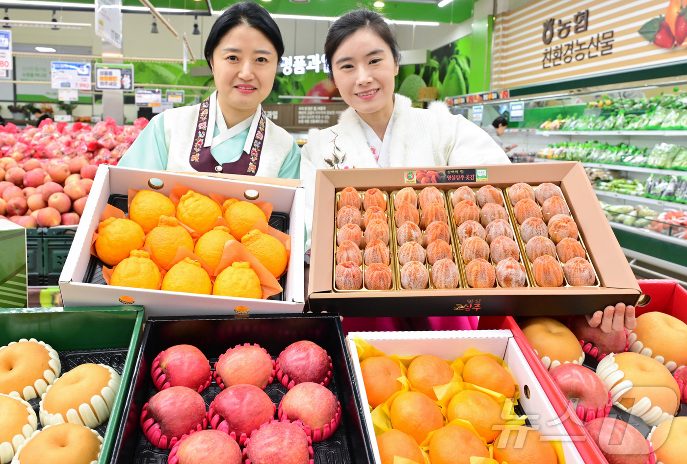 (서울=뉴스1) = 농협유통은 9일 병오년 설을 맞아 하나로마트에서 판매하는 세트의 당도 등 품질 관리를 통해 고객들이 믿고 구매할 수 있도록 엄선한 과일 선물을 추천했다. 사진은 …