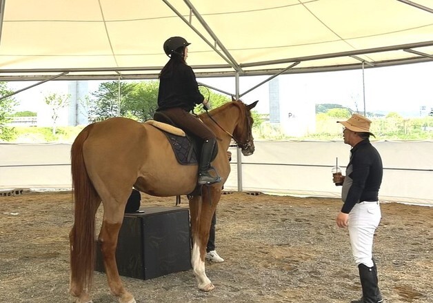 보은군, 승마 체험 참여 학생 모집…내달 10일까지
