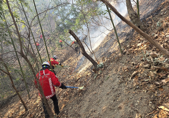 대전 삼정동서 산불…헬기 1대 등 투입 진화 중
