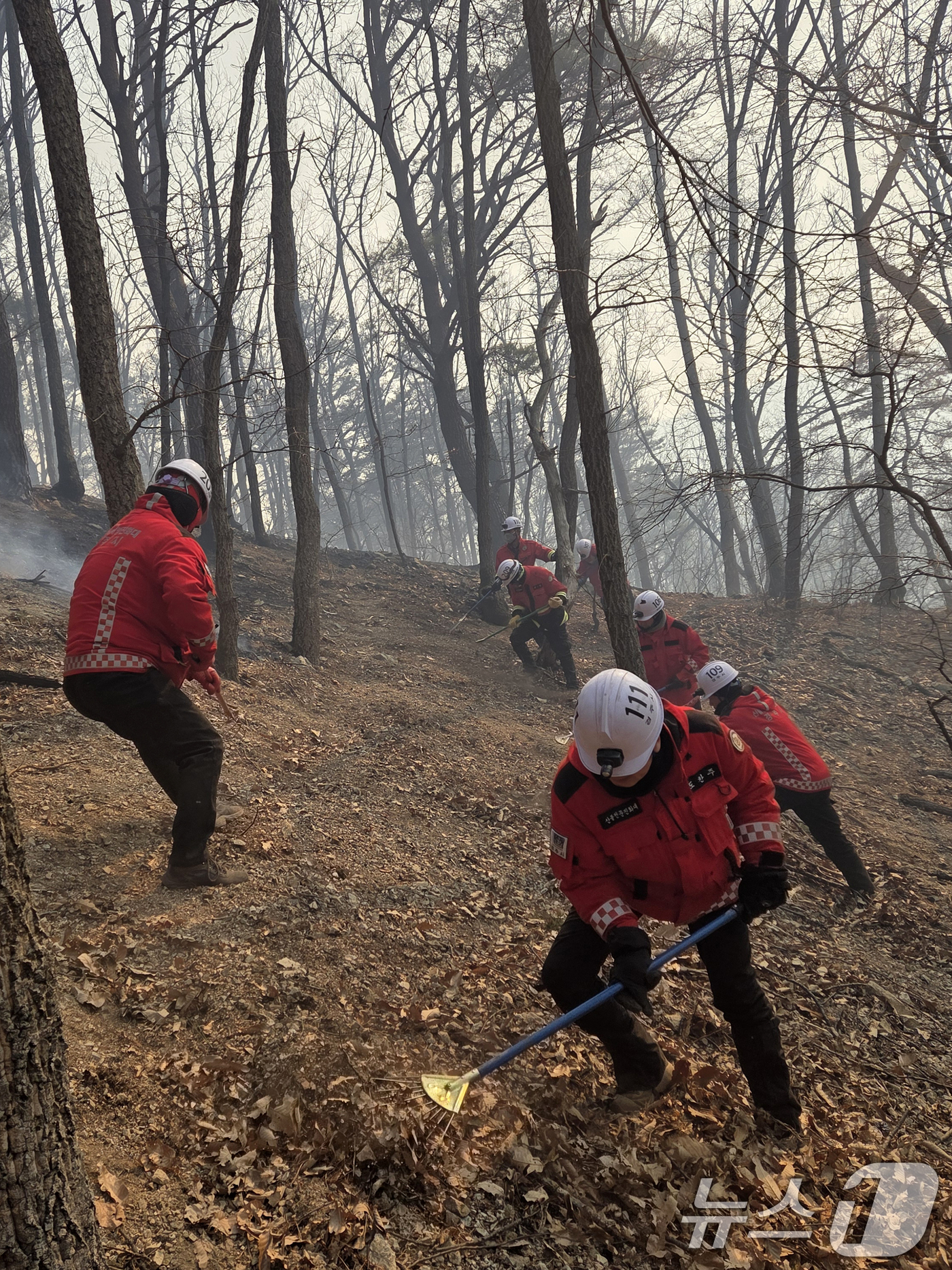 (경주=뉴스1) 최창호 기자 = 9일 경북 경주시 소속 산불전문예방진화대원들이 문무대왕면에서 발생한 산블 잔불 정리를 하고 있다.경주시는 이날 오후 5시부로 잔불정리를 끝내고 뒷불 …