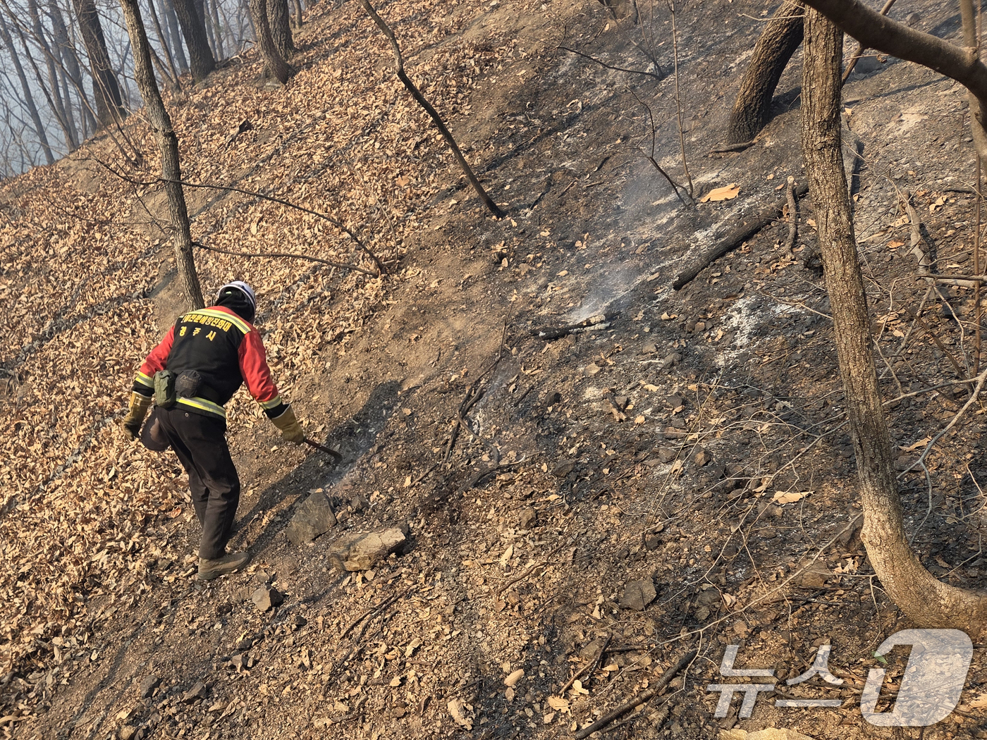 (경주=뉴스1) 최창호 기자 = 9일 경북 경주시 소속 산불전문예방진화대원들이 문무대왕면에서 발생한 산블 잔불 정리를 하고 있다.경주시는 이날 오후 5시부로 잔불정리를 끝내고 뒷불 …