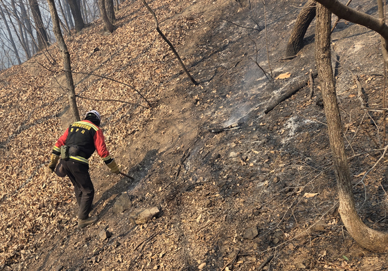 경주 문무대왕면서 또 '연기 보인다' 신고…1시간 만에 진화