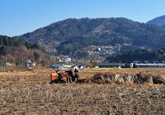 "불법소각 안 돼요" 가평군 영농부산물 파쇄 지원