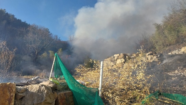 양산 원동면 주택가 인근 산불…주민 122명 대피, 헬기 20대 투입