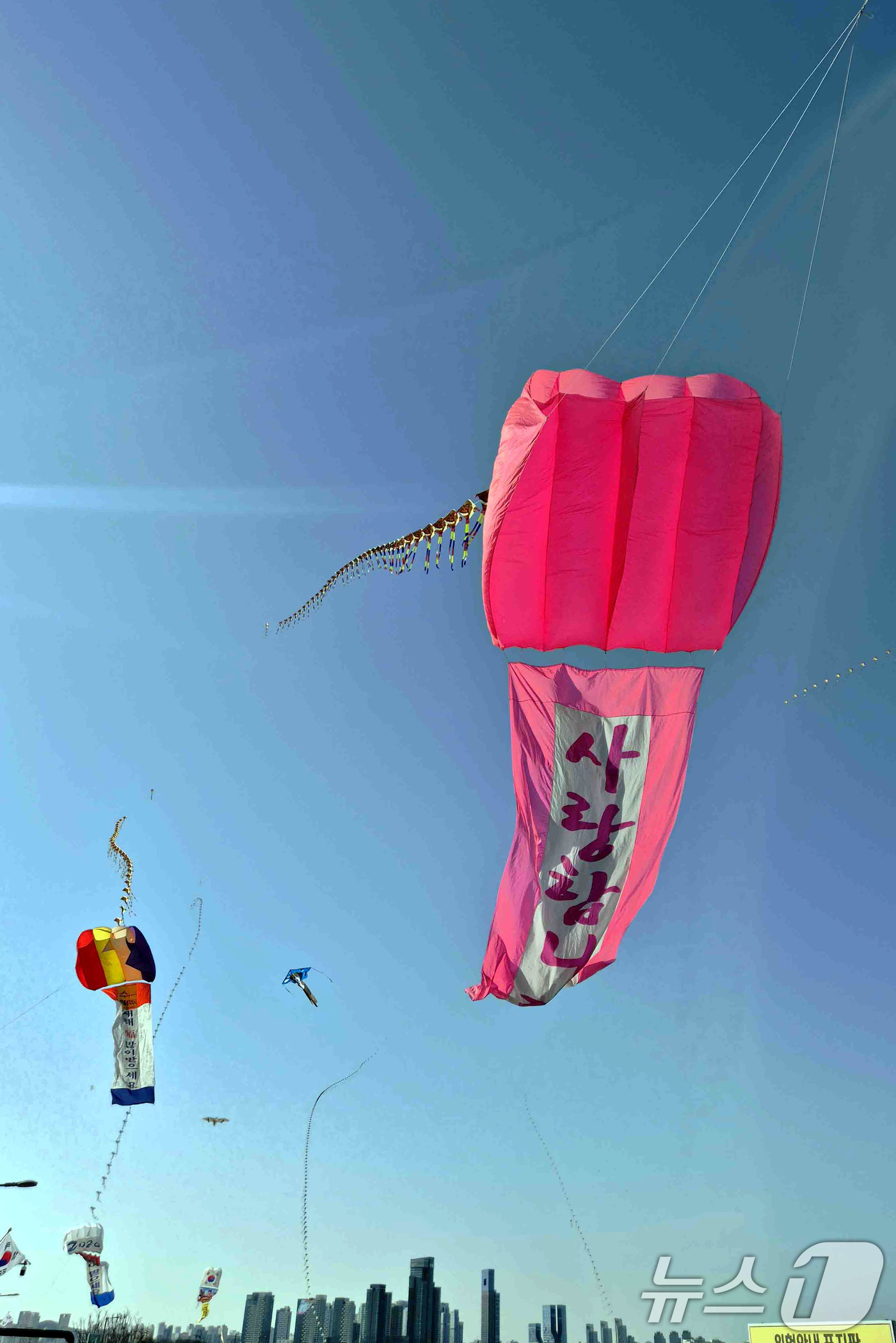 (서울=뉴스1) = 지난달 28일 세종시 이응다리 일원에서 열린 2026년 정월대보름 전국 연날리기 대회에서 창작연날리기 부문 참가자의 대형 파라포일연이 바람을 타고 있다. 올해로 …